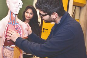 Gesundheit und Soziales HBFS (2-jährig)