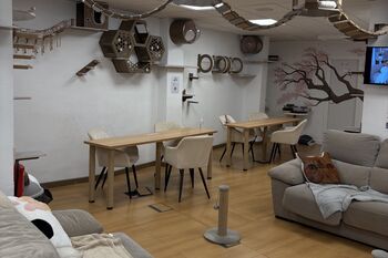 Erasmus Malaga 2025: Mein Praktikumsbetrieb